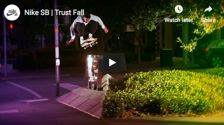 Trust Fall (Nike SB)