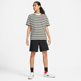 Striped Skate Tee (Sail/Dk Smoke Grey/Sequoia)