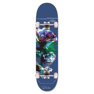 Rodriguez Eternity Complete Skateboard
