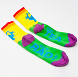 Proud Rainbow Socks